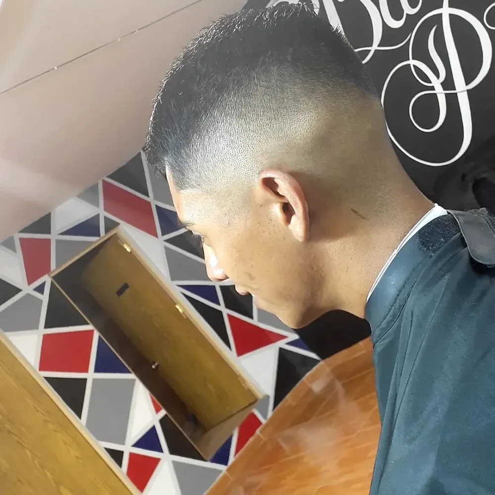 Barberia Pitbull