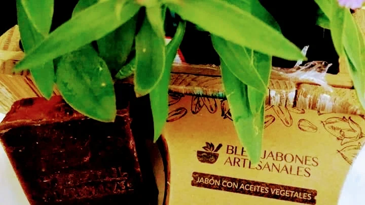 Casa Jaguar Meditacion & Spa Holistico