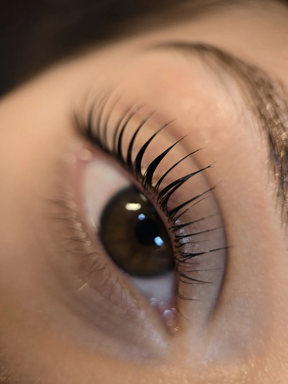 CEJAS DEFINIDAS