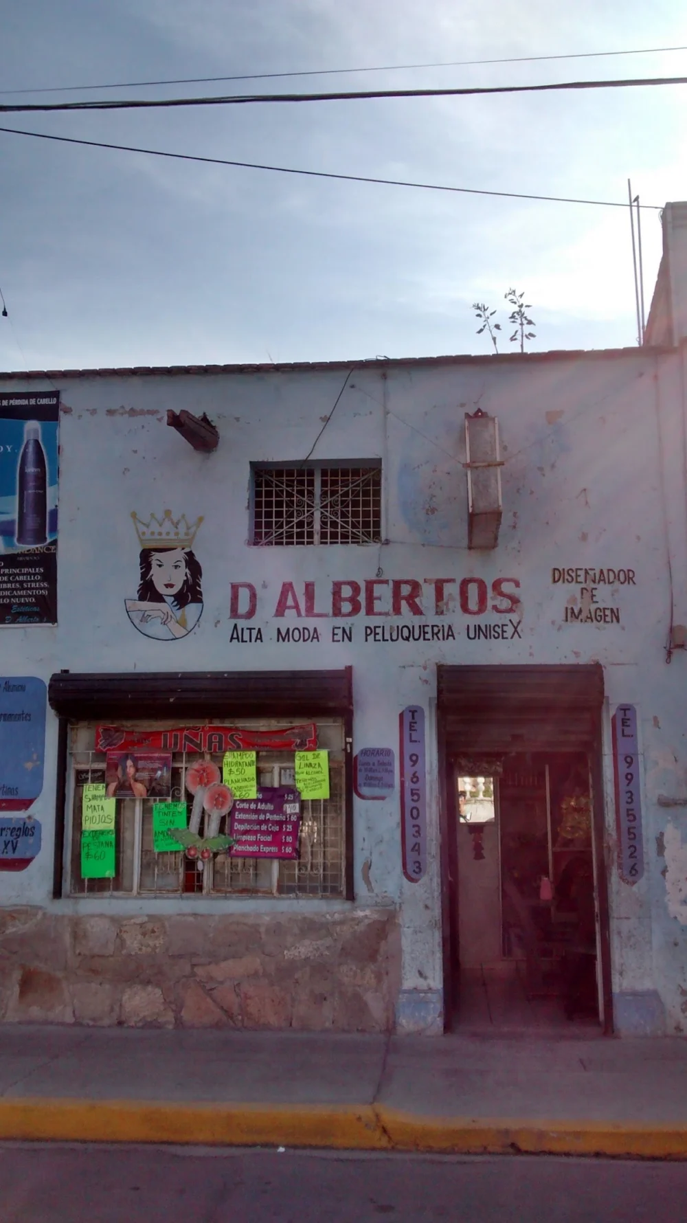 D'ALBERTOS