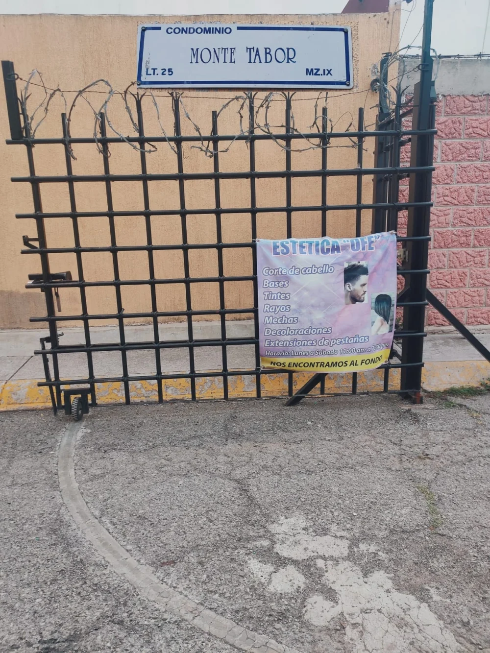 Estetica Ofe