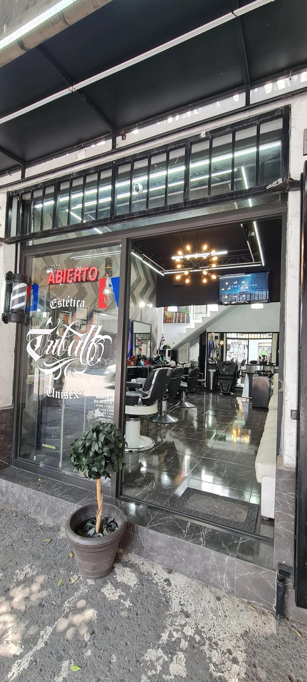 Estética Unisex Triball Cuerna