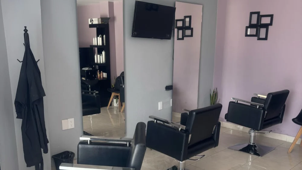Mi Salon by María Félix
